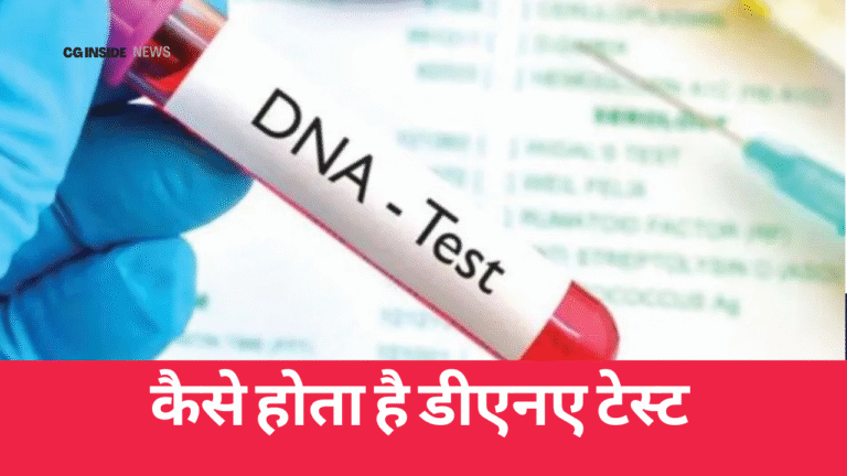 DNA Test Process