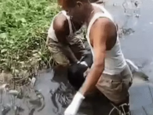 Mungeli Murder News