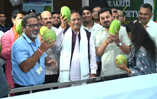 Mango Festival Raipur