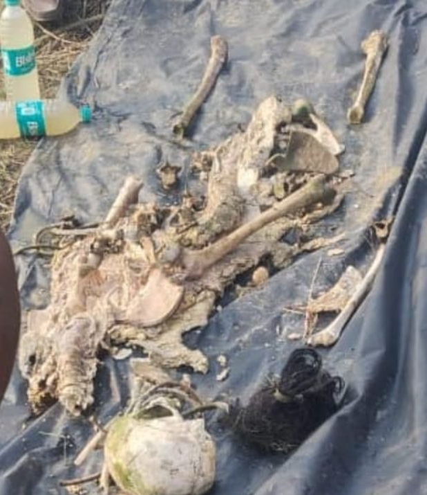 Woman Skeleton Found In Nagri