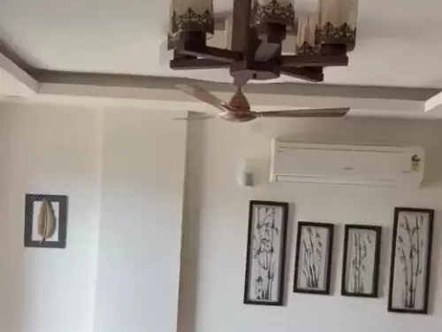 Earthquake In Delhi NCR
