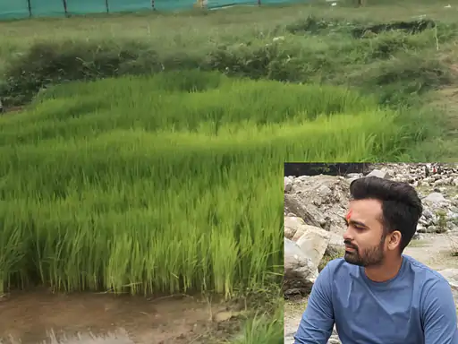Engineer To Farmer Vivek Bharat