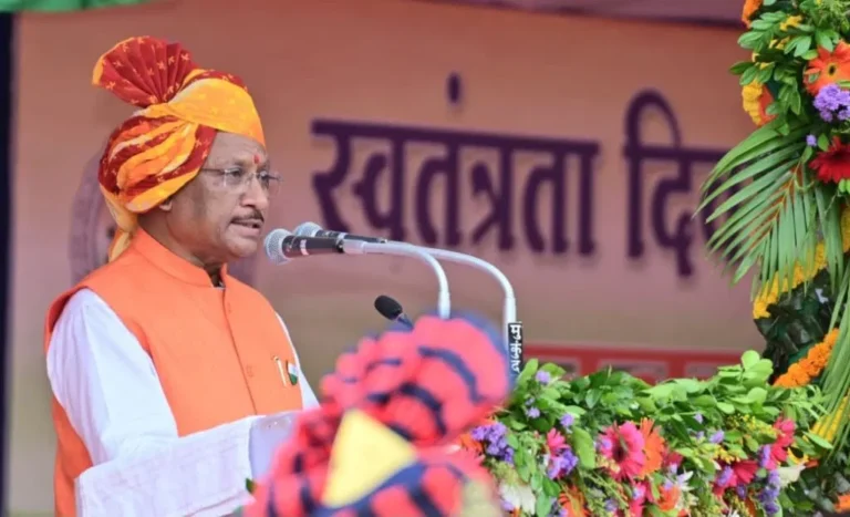 Raipur Commissionerate System