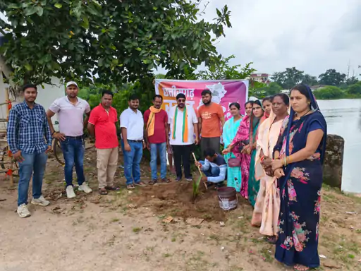 Nagri silver jubilee coconut plantation