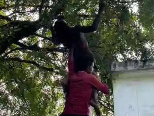 Dhamtari Suicide Attempt