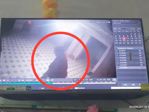 Theft in Sai Temple Nagri