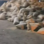 Raipur Truck Car Accident