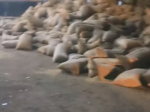 Raipur Truck Car Accident