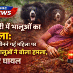 Dhamtari Bear Attack